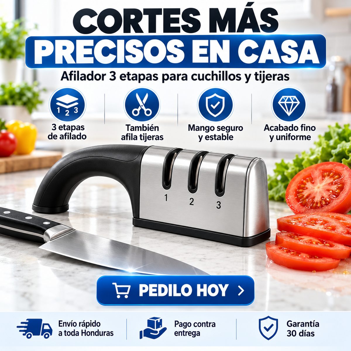 Afilador de Cuchillos Profesional
