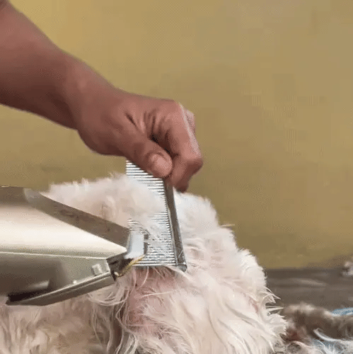 PetTrim Pro – Máquina Cortapelos Inalámbrica para Mascotas - imagen 2